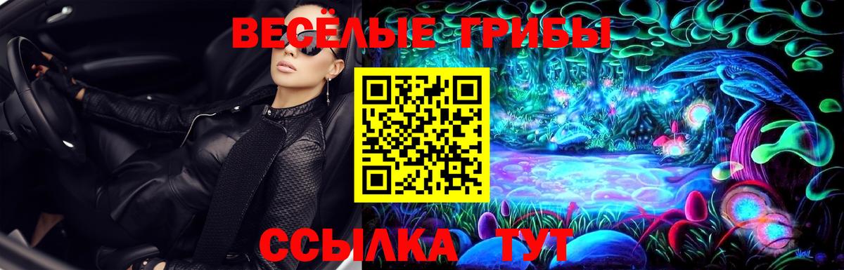 Псилоцибиновые грибы мицелий Полысаево